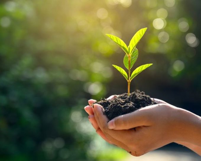 Groen, groener, groenst Groen, groener, groenst